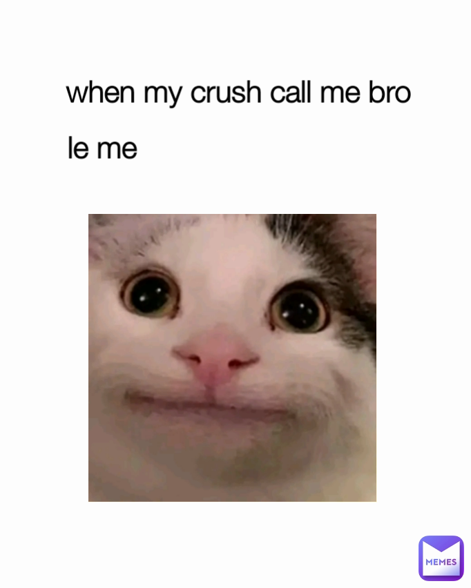 le-me-when-my-crush-call-me-bro-laughingdaily-memes