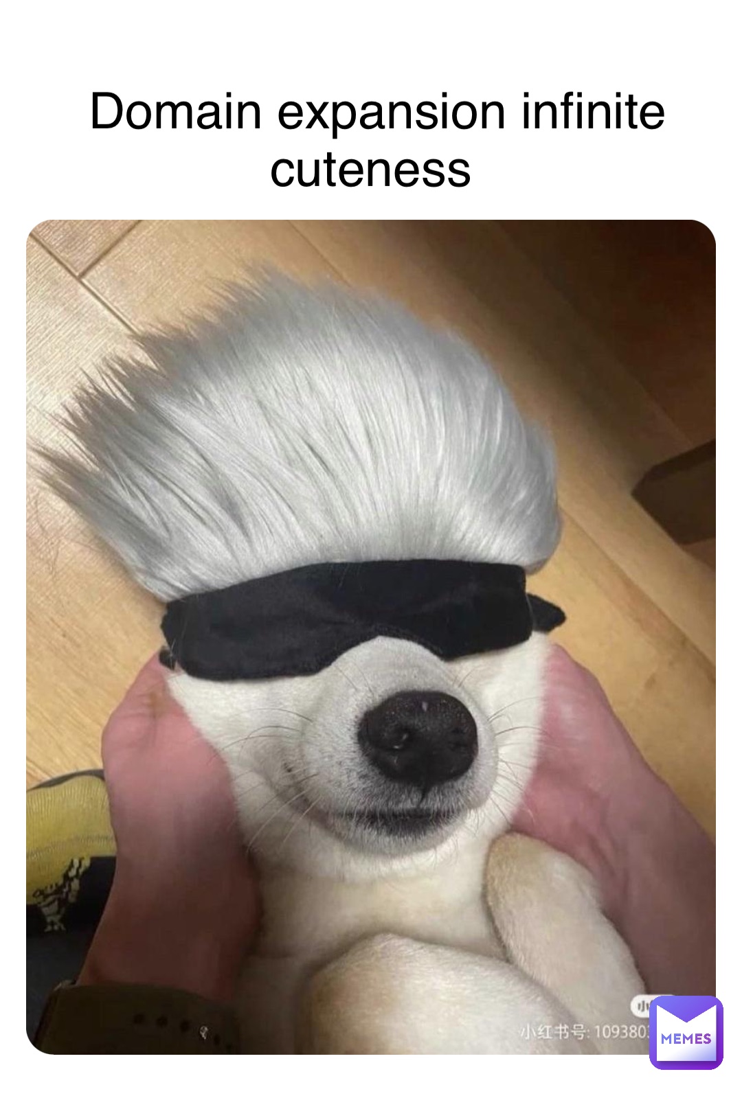 Domain expansion infinite cuteness