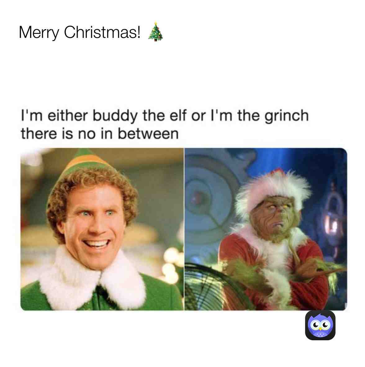 Meme preview