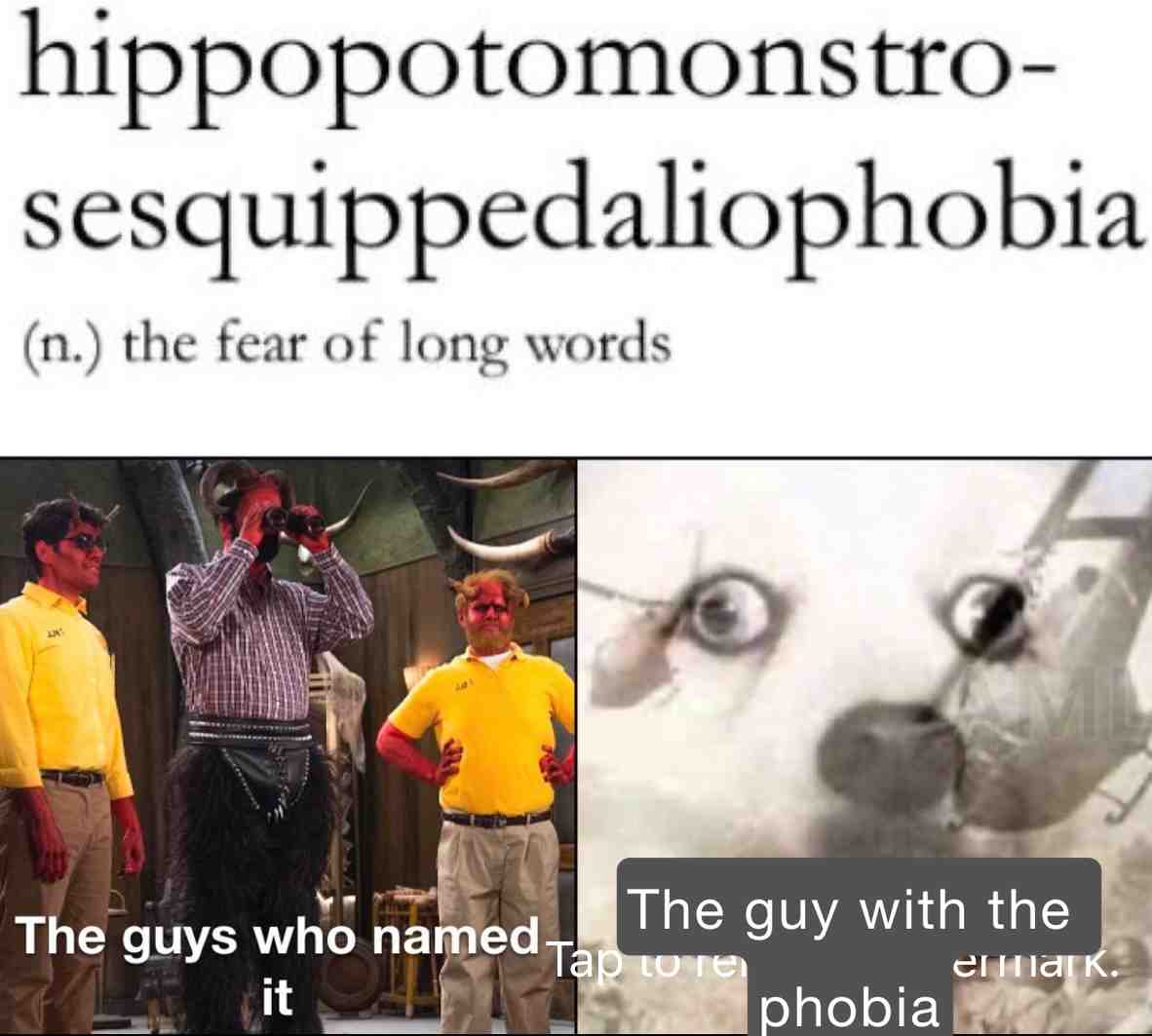 Meme preview