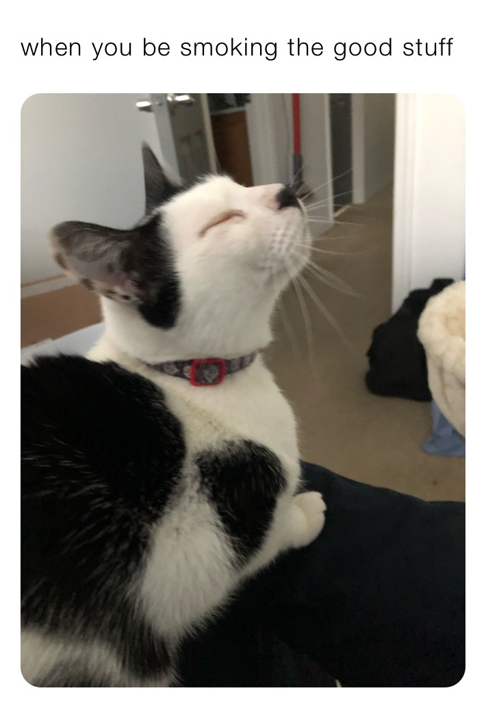 when you be smoking the good stuff