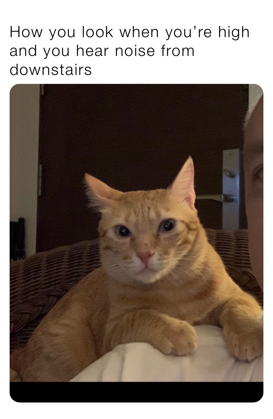 Meme by knightsofoshawott