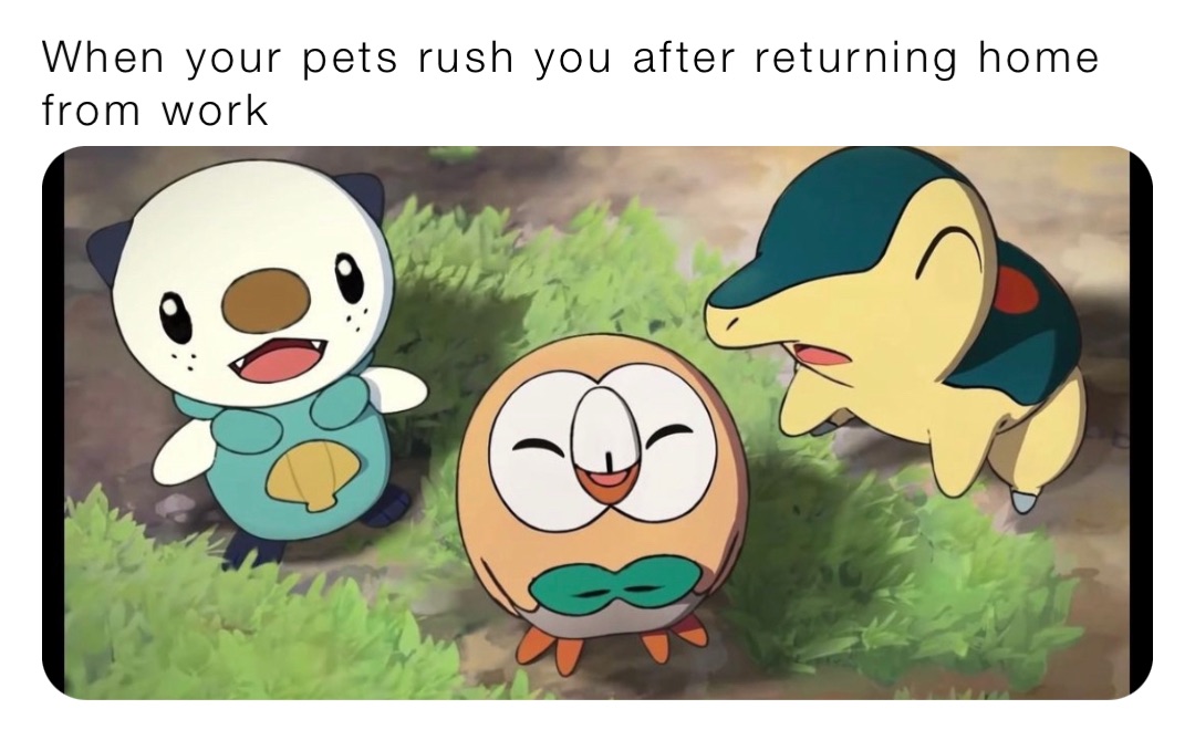 Meme by knightsofoshawott