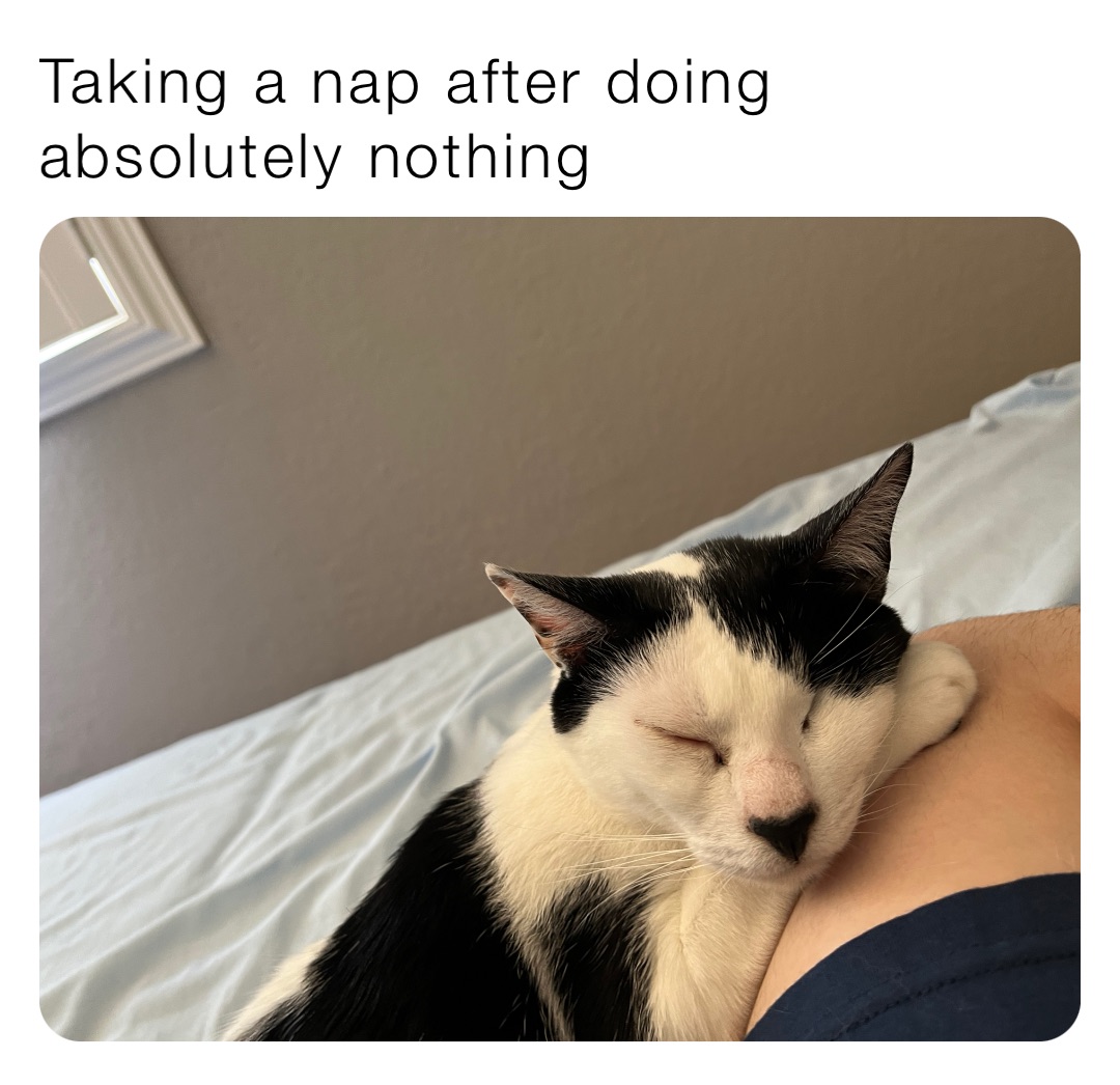 Meme by knightsofoshawott