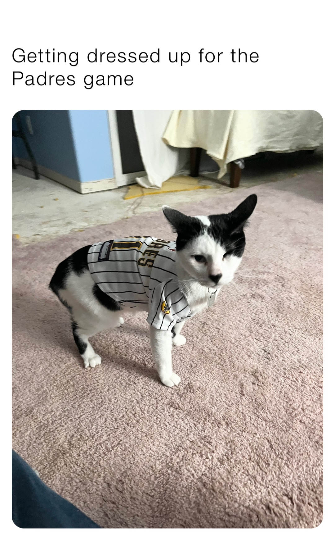 Meme by knightsofoshawott