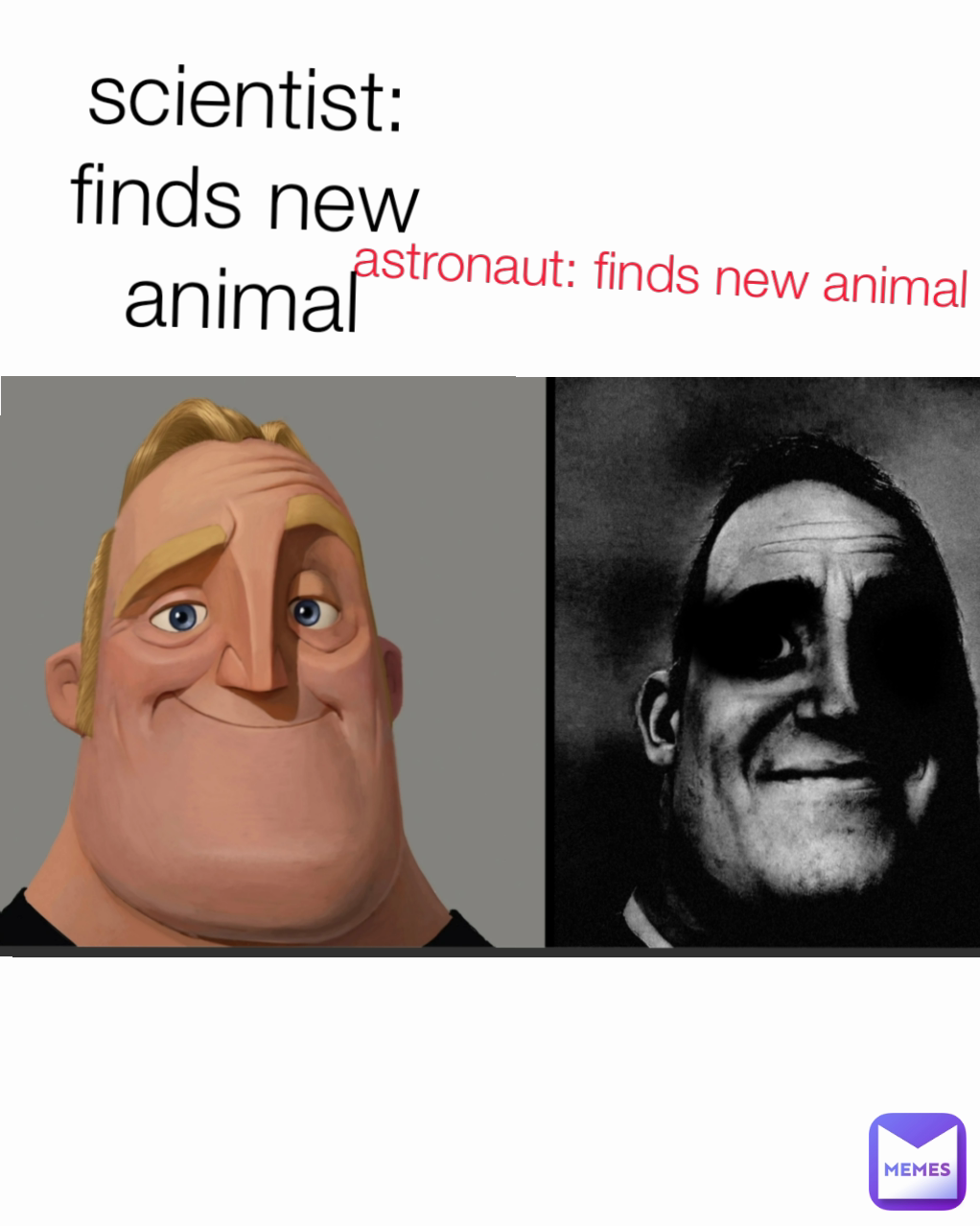 astronaut: finds new animal scientist: finds new animal