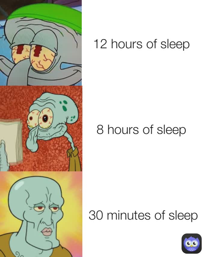 30 minutes of sleep 8 hours of sleep  12 hours of sleep 
