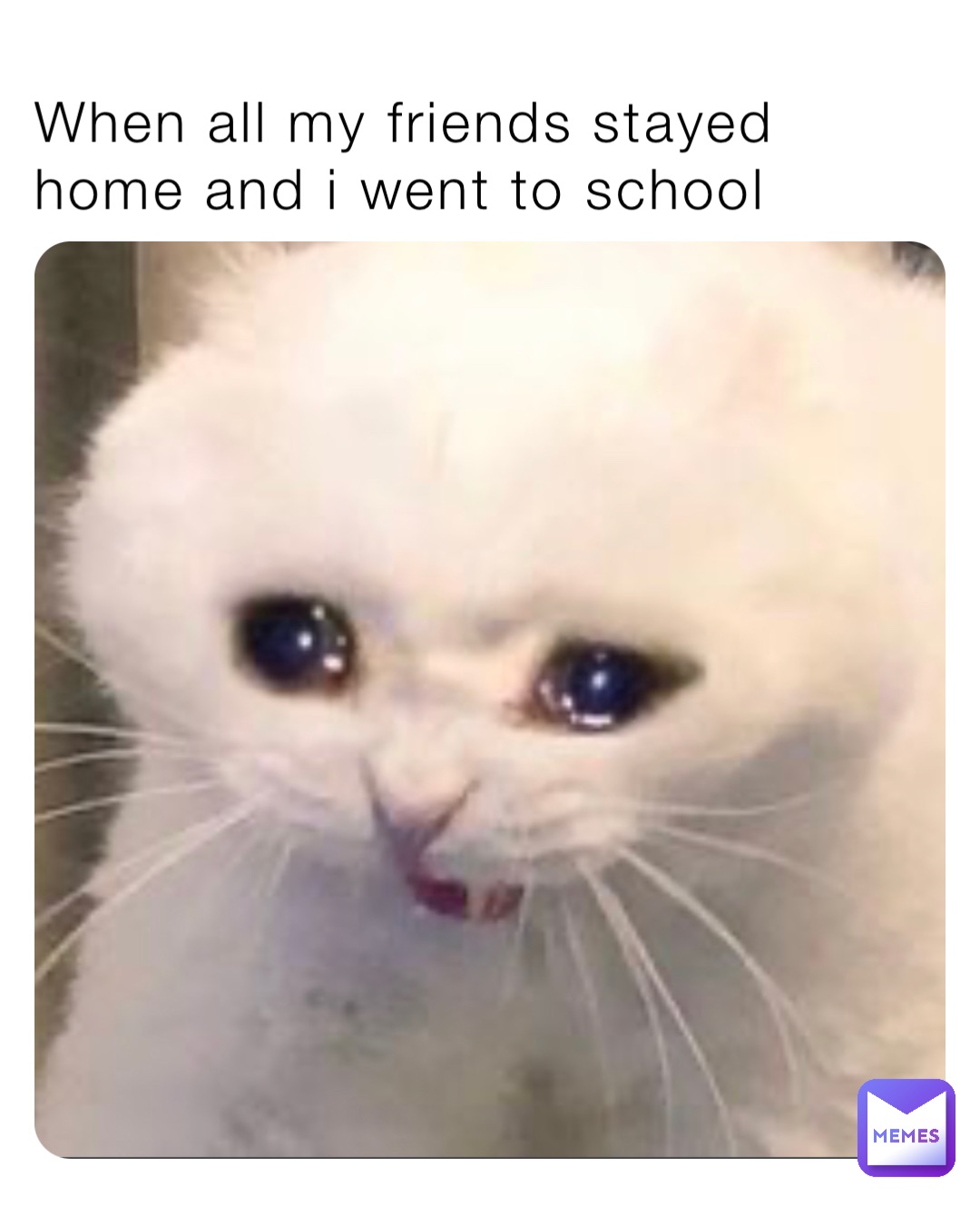When all my friends stayed home and i went to school