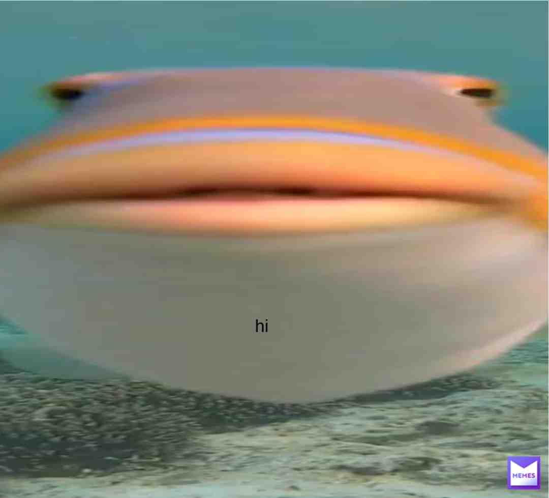 hi #hi #fish