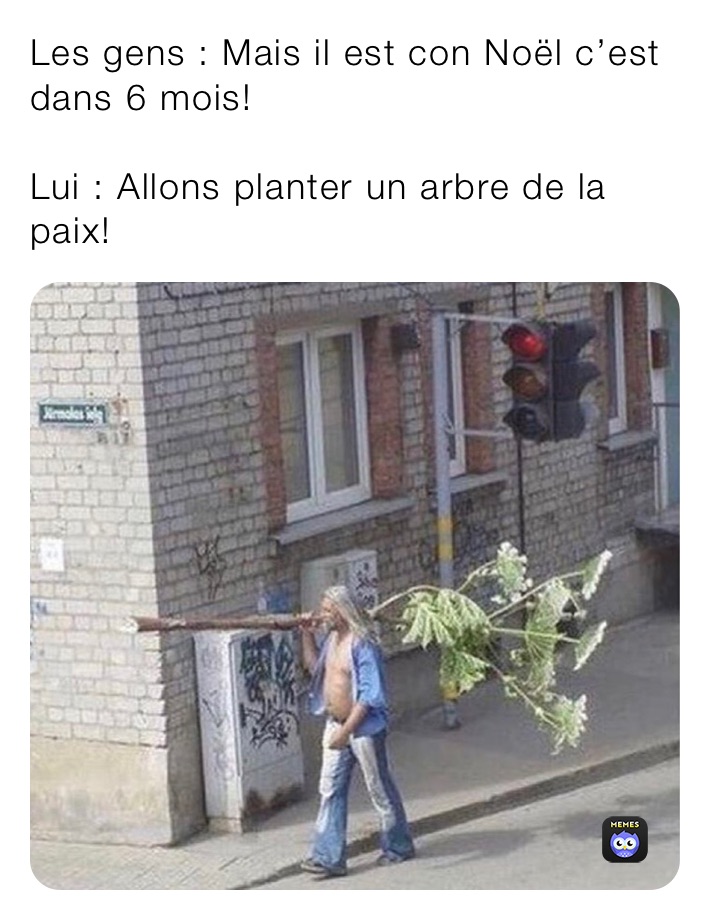 Les gens : Mais il est con Noël c’est dans 6 mois!

Lui : Allons planter un arbre de la paix!