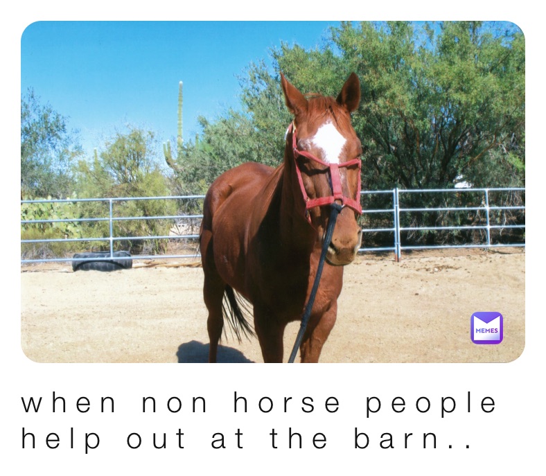 when non horse people help out at the barn..