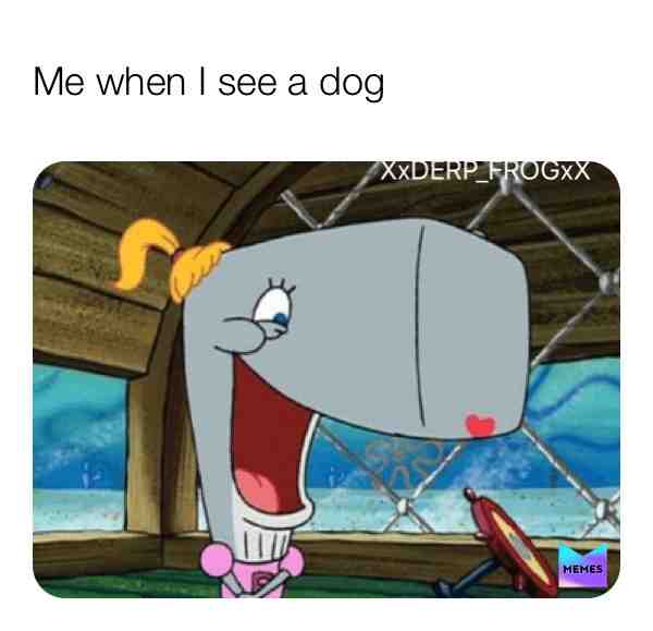 Aww!Can I pet it?