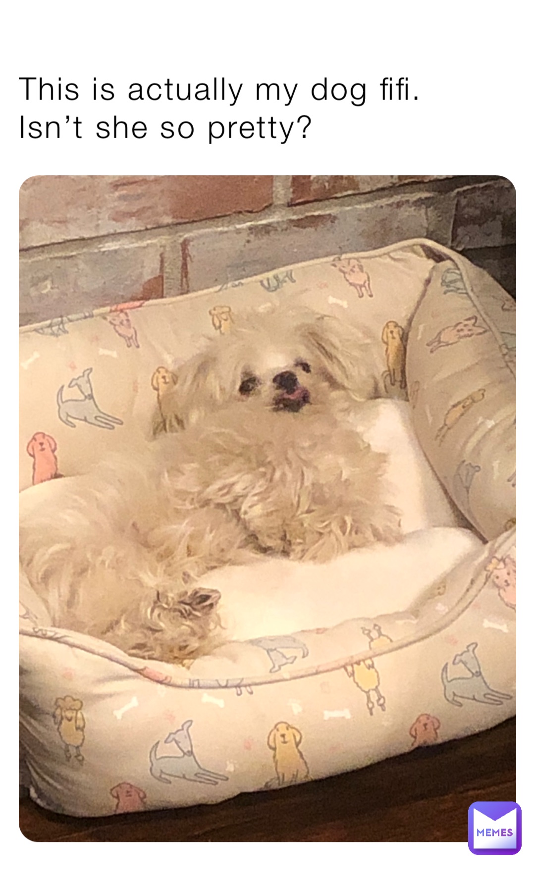 Meme by Dr_Alto_CLef