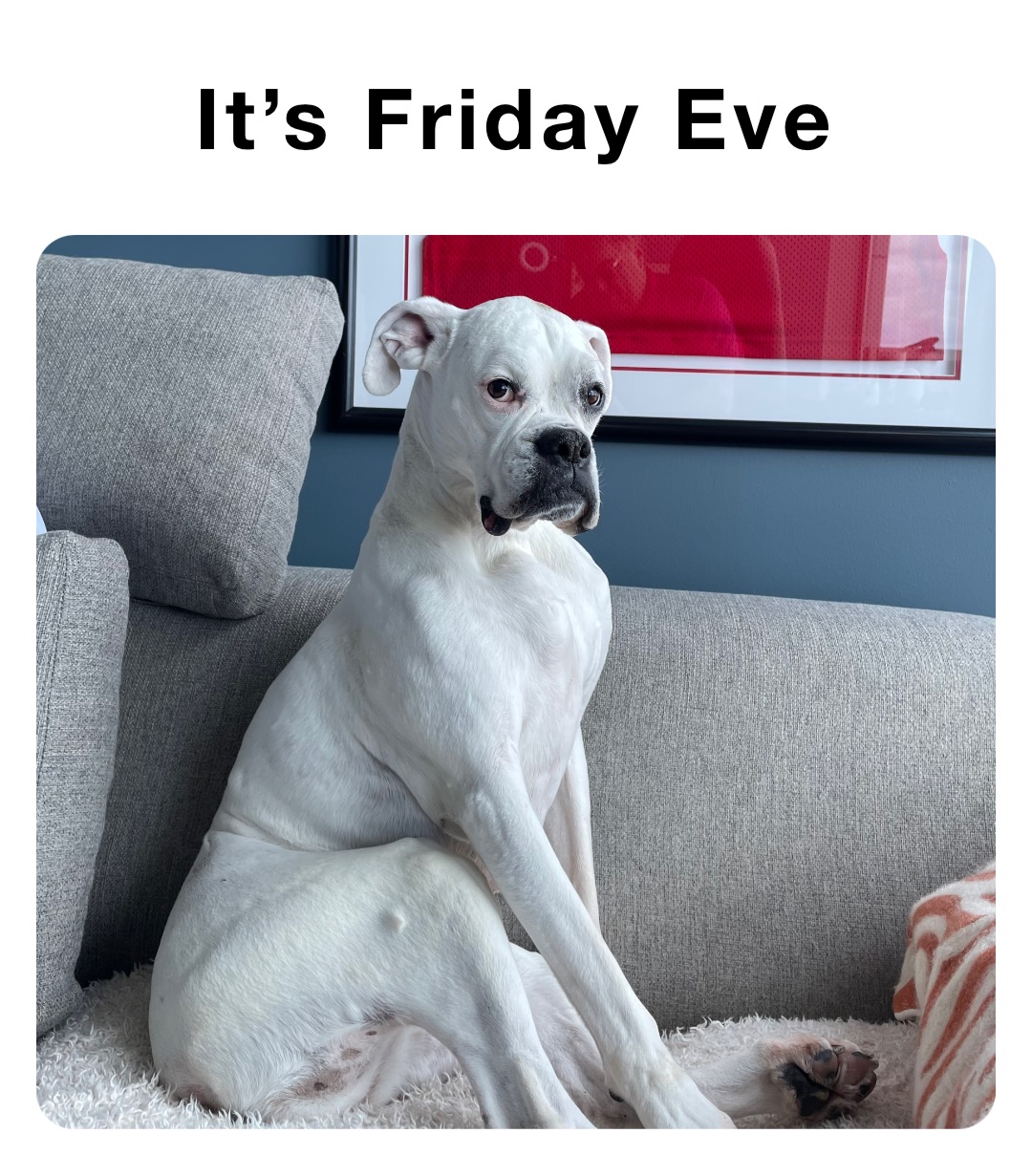 It’s Friday Eve