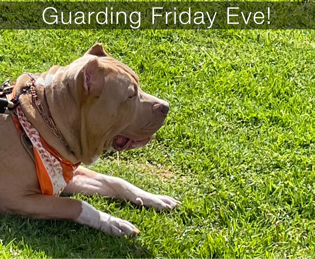 Guarding Friday Eve!