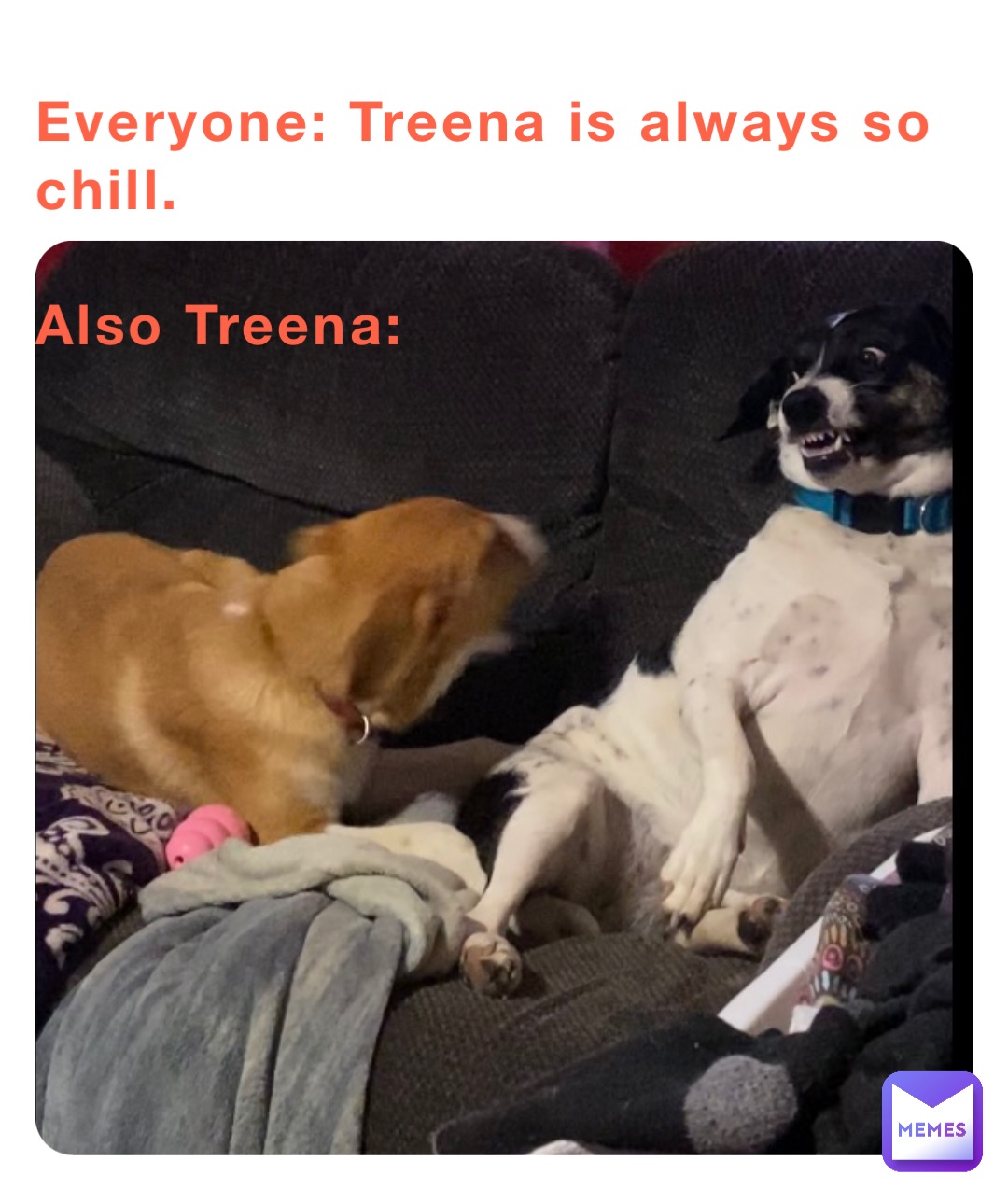 Everyone: Treena is always so chill.

Also Treena: