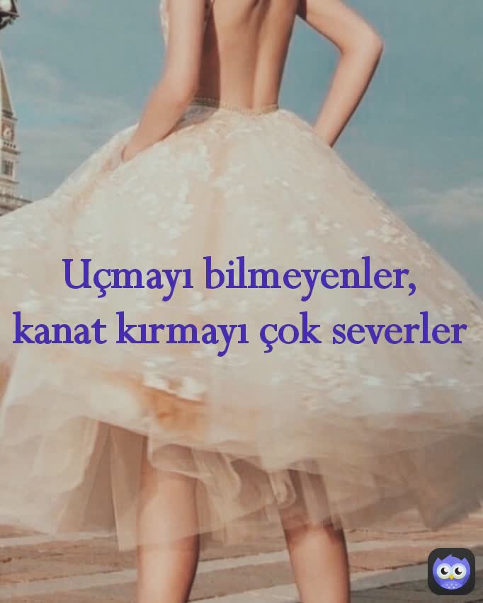 Uçmayı bilmeyenler, kanat kırmayı çok severler