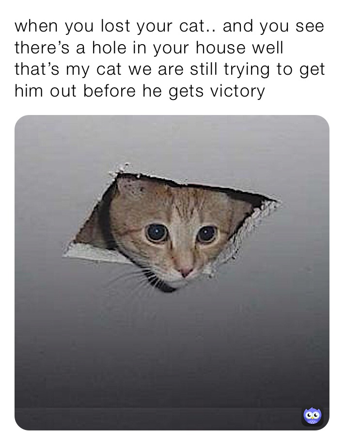 Meme by yoursTuperCooL