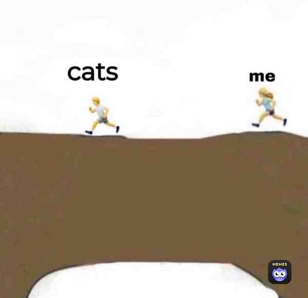 Meme preview
