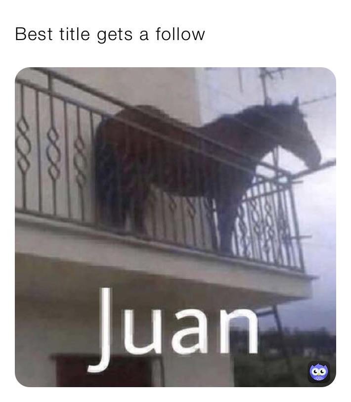 Best title gets a follow
