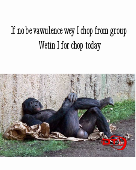 If no be vawulence wey I chop from group 
Wetin I for chop today