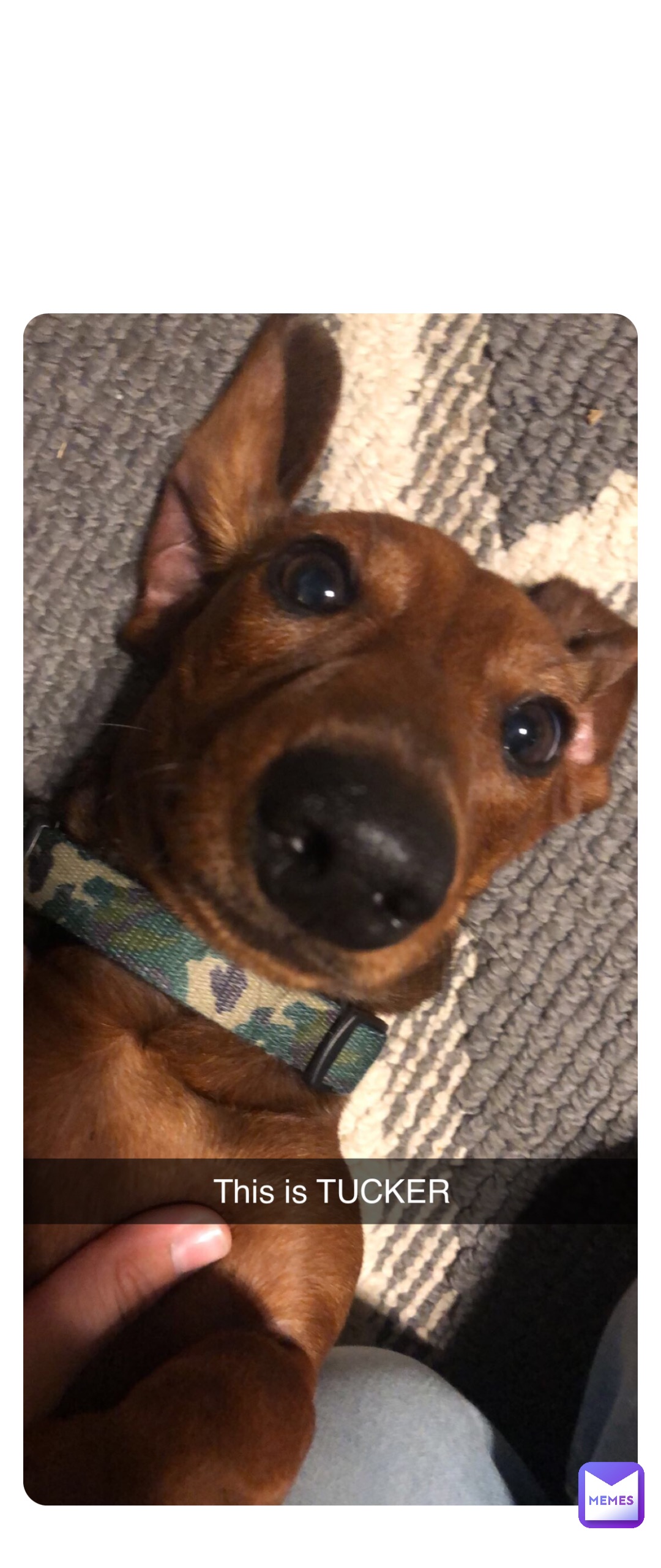 Meme by aubrey-balentine