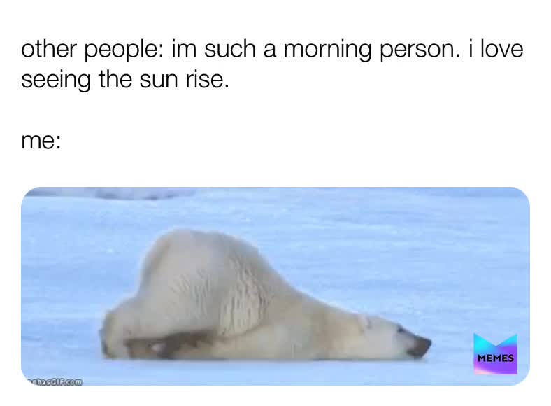 Literally every morning 😂