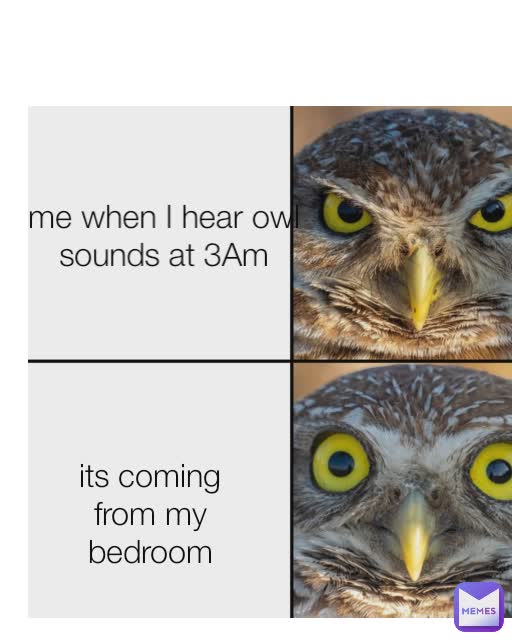 its coming from my bedroom me when I hear owl sounds at 3Am