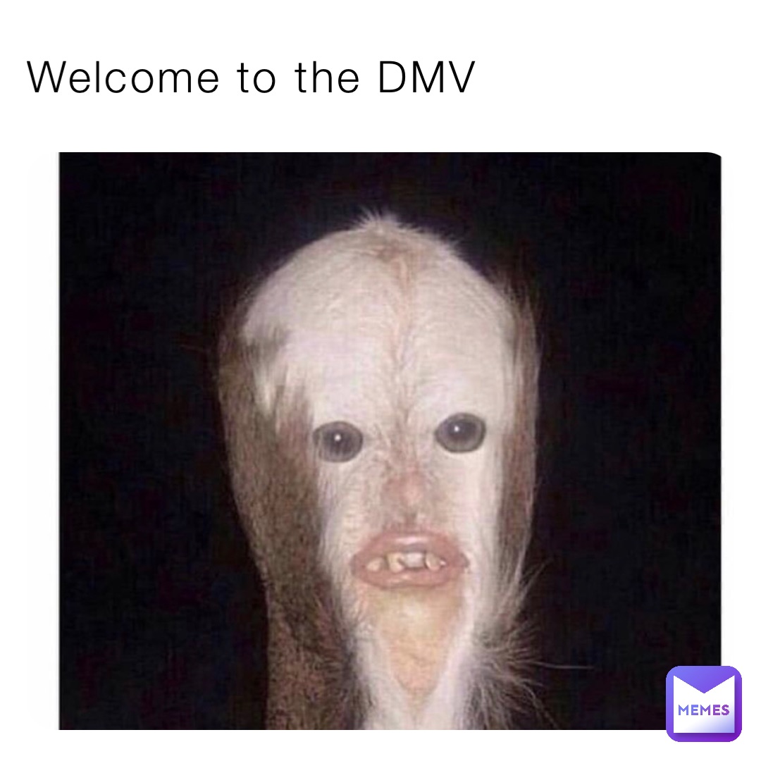 Welcome to the DMV