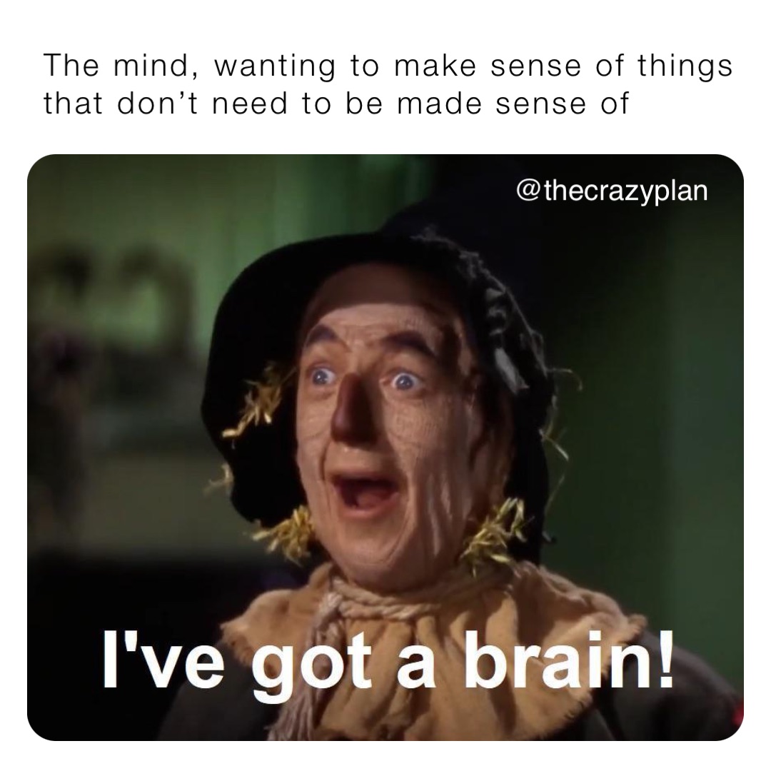 The mind, wanting to make sense of things that don’t need to be made sense of @thecrazyplan