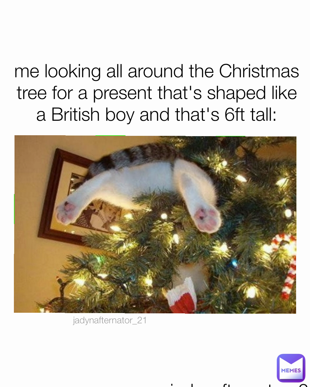 jadynafternator_21  jadynafternator_21  me looking all around the Christmas tree for a present that's shaped like a British boy and that's 6ft tall: