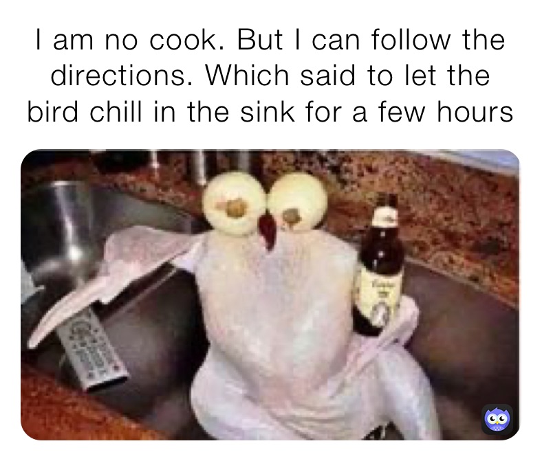 I am no cook. But I can follow the directions. Which said to let the bird chill in the sink for a few hours 