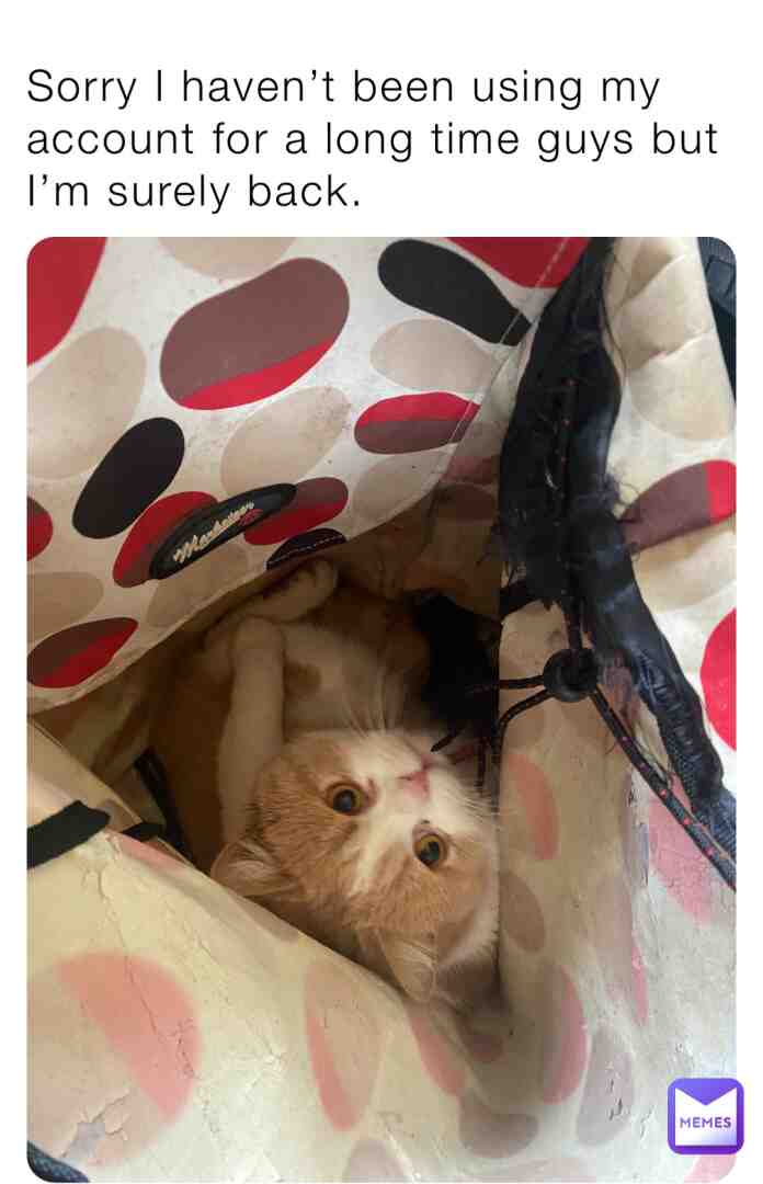 Yep I sure am. #cat #funny #memesdaily