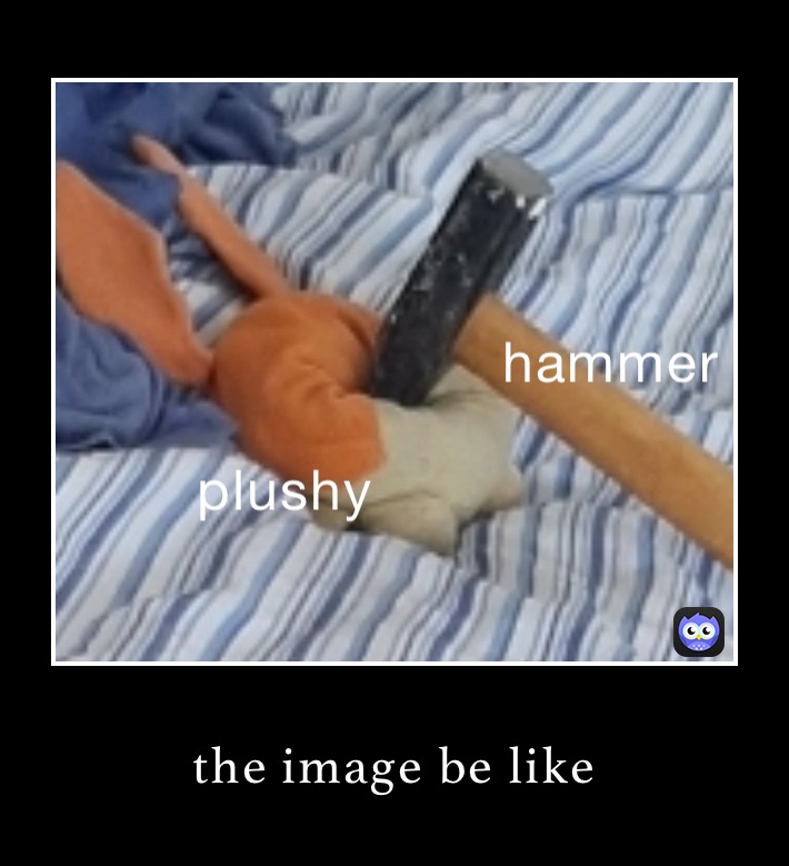 the image be like