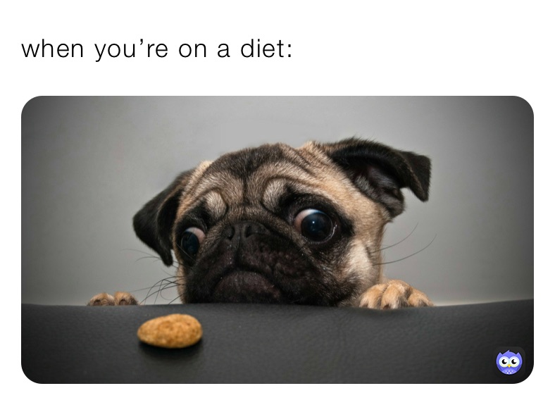 when you’re on a diet: