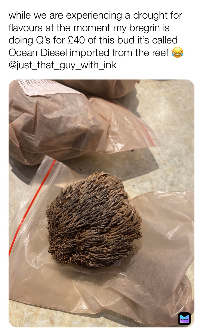 Meme by just_that_guy_with_ink