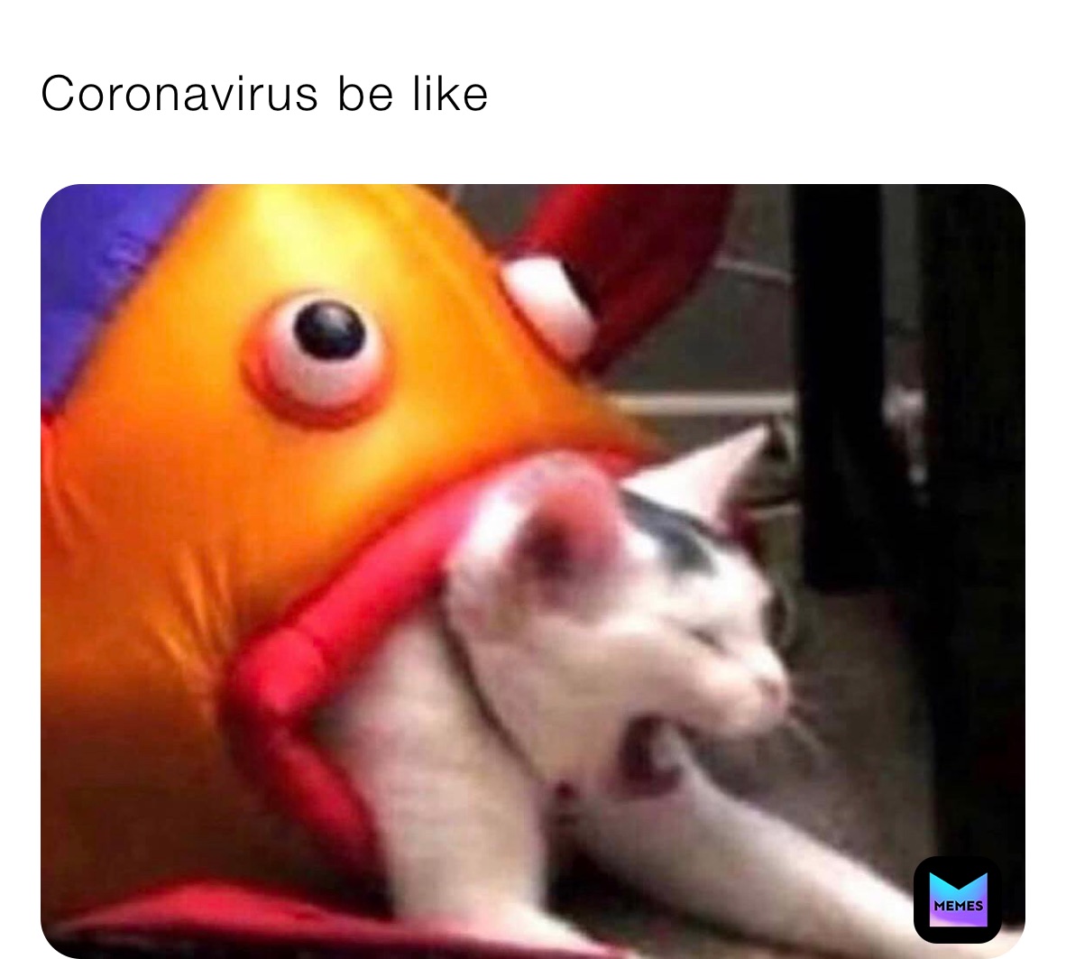 Coronavirus be like￼