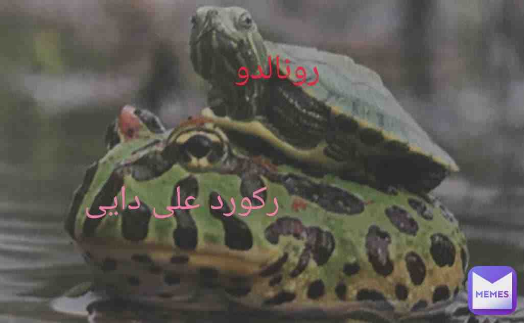 Meme shared by @bardia_p_