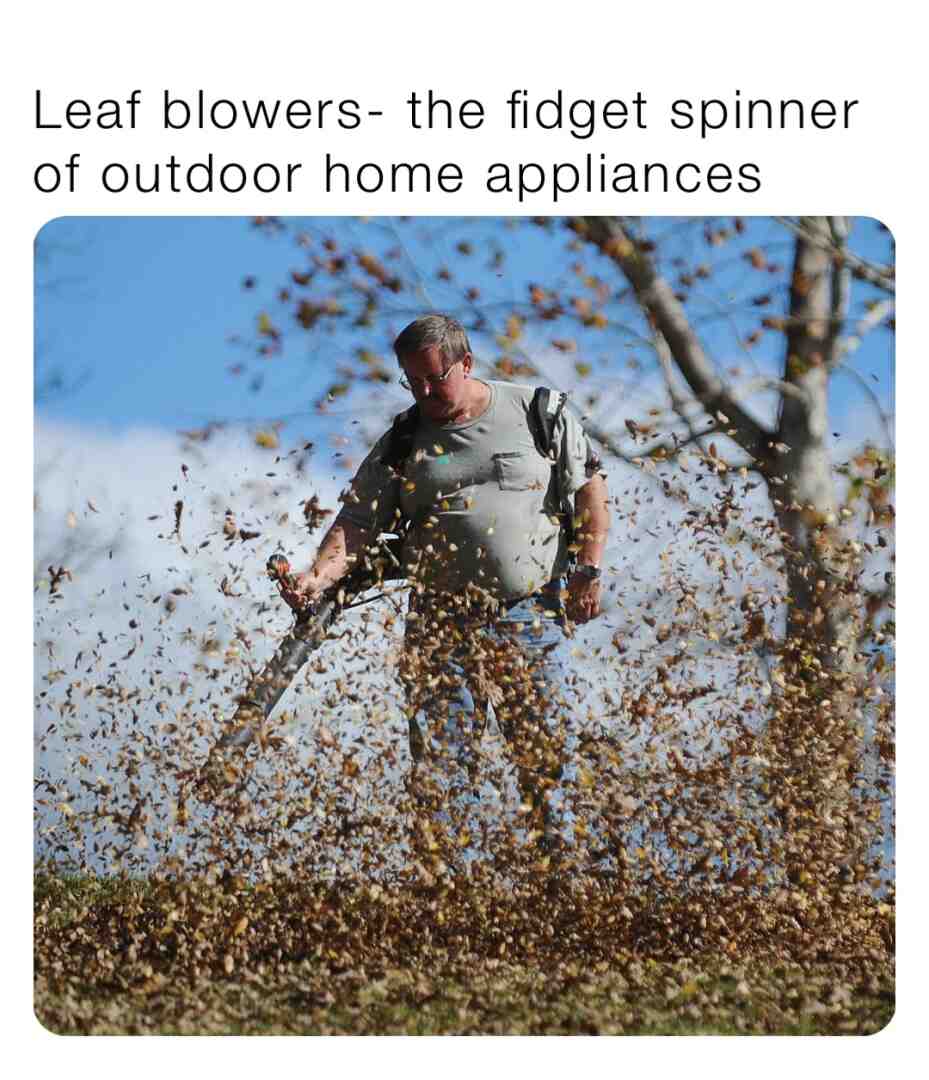 #fall  #autumn  #leaves  #leafblower  #dumb  #lawncare  #dads  #moms  #fidgetspinner
