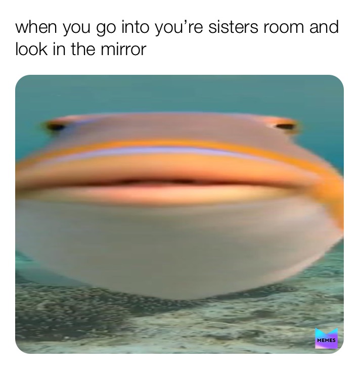 Meme by fbi_dankify55