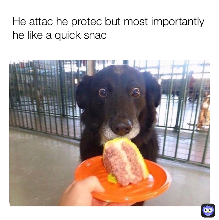 Meme by fbi_dankify55