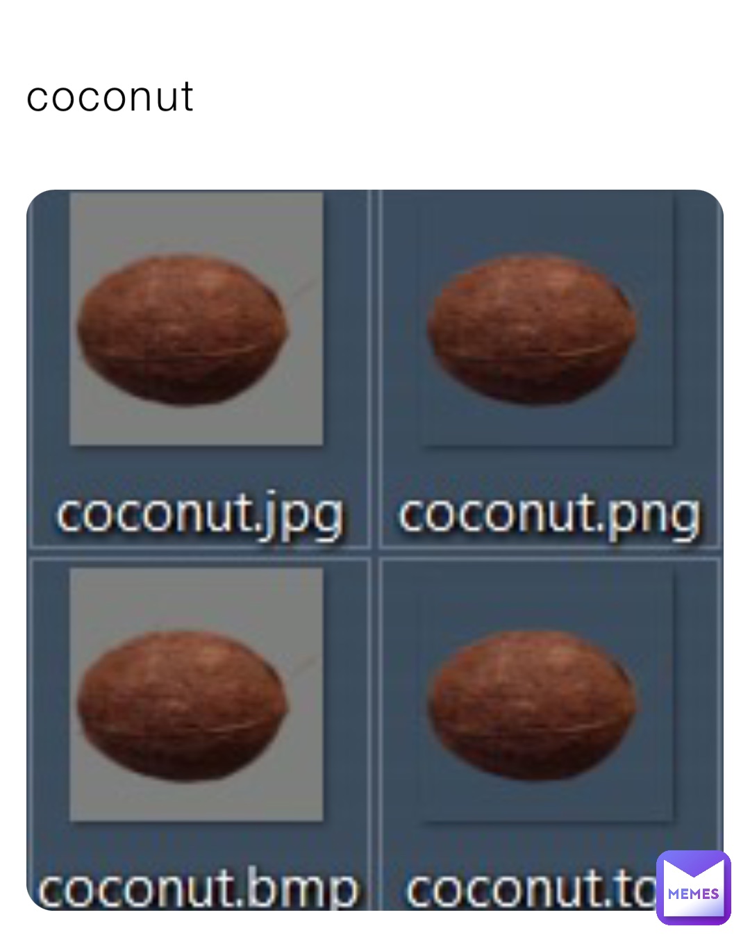 coconut