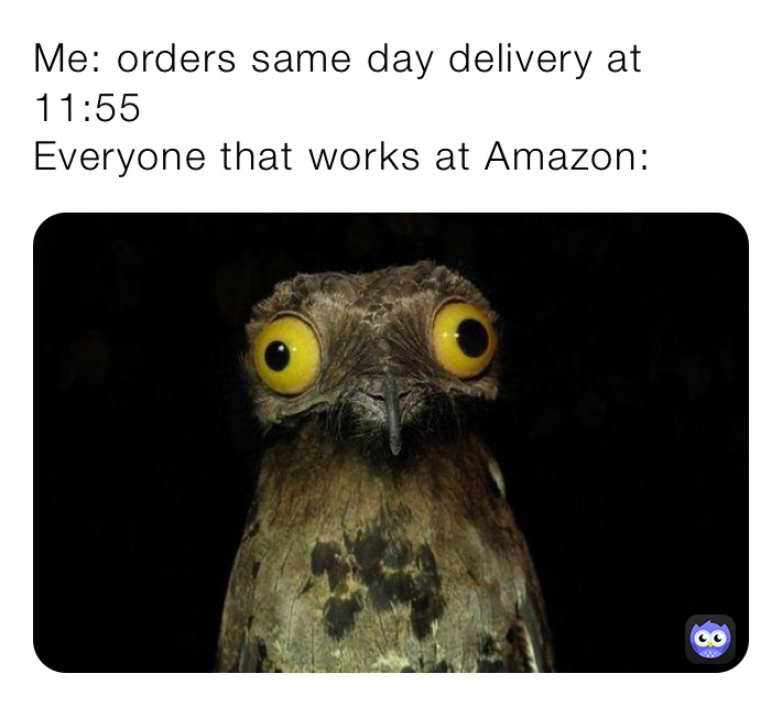 Me: orders same day delivery at 11:55
Everyone that works at Amazon: