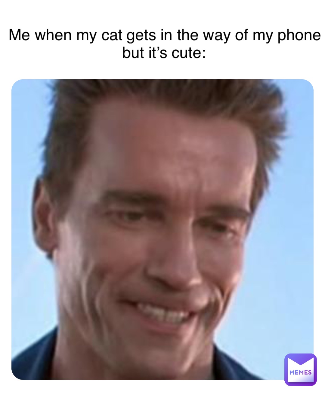 Me when my cat gets in the way of my phone but it’s cute: