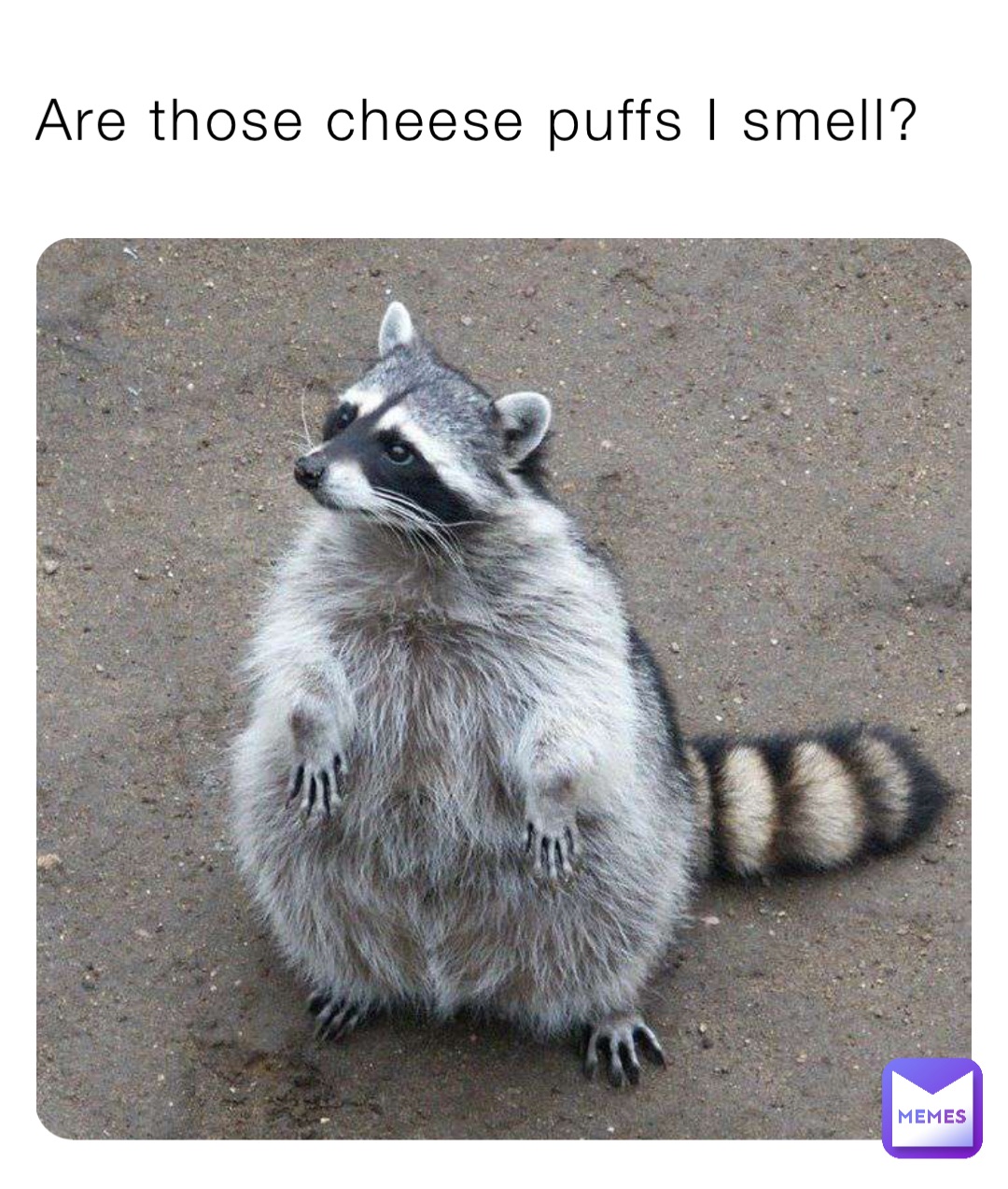 Meme by TheLonelyMango