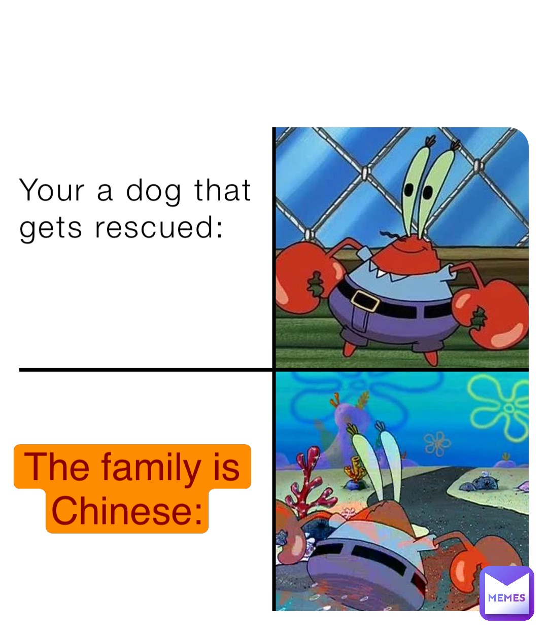 Your a dog that
gets rescued: The family is 
Chinese: