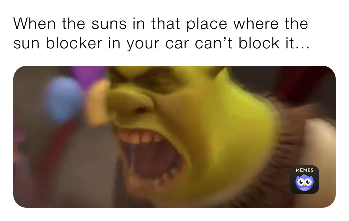 When the suns in that place where the sun blocker in your car can’t block it...