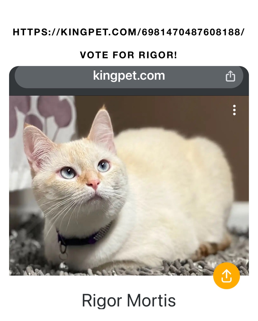https://kingpet.com/6981470487608188/

Vote for Rigor!