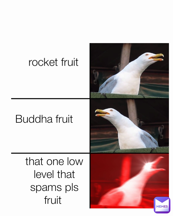 Buddha fruit rocket fruit that one low level that spams pls fruit 