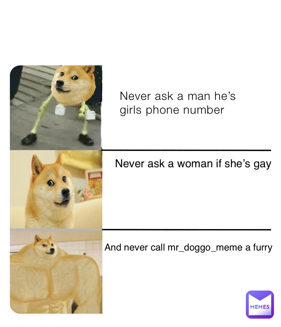 Never ask a man he’s girls phone number Never ask a woman if she’s gay And never call mr_doggo_meme a furry